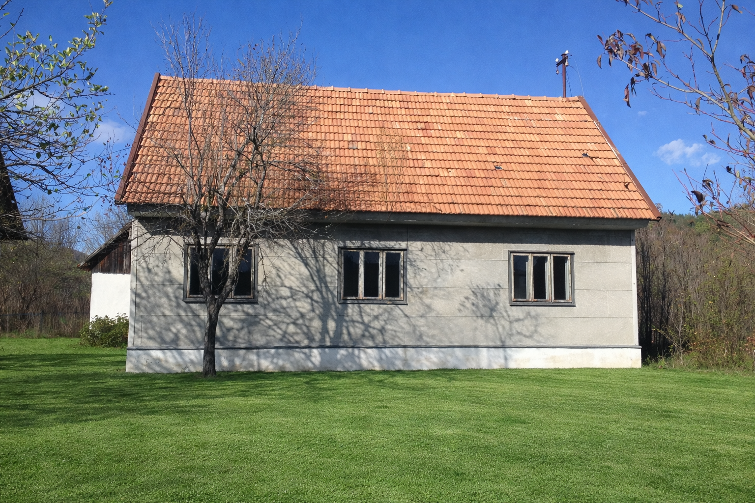 MY LIKA WEEK – foto 1